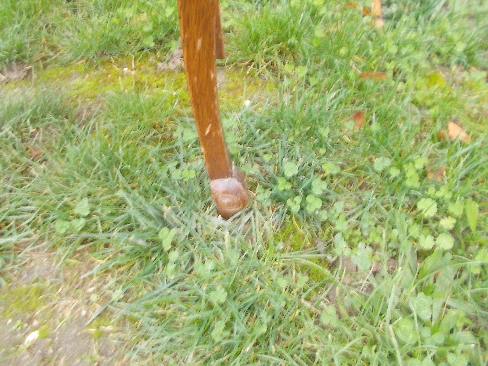 Nightstand or bedside table