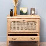 Bar cabinet / Tv cabinet