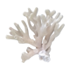 Vintage white coral