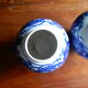 Pair of blue and white chinese vases