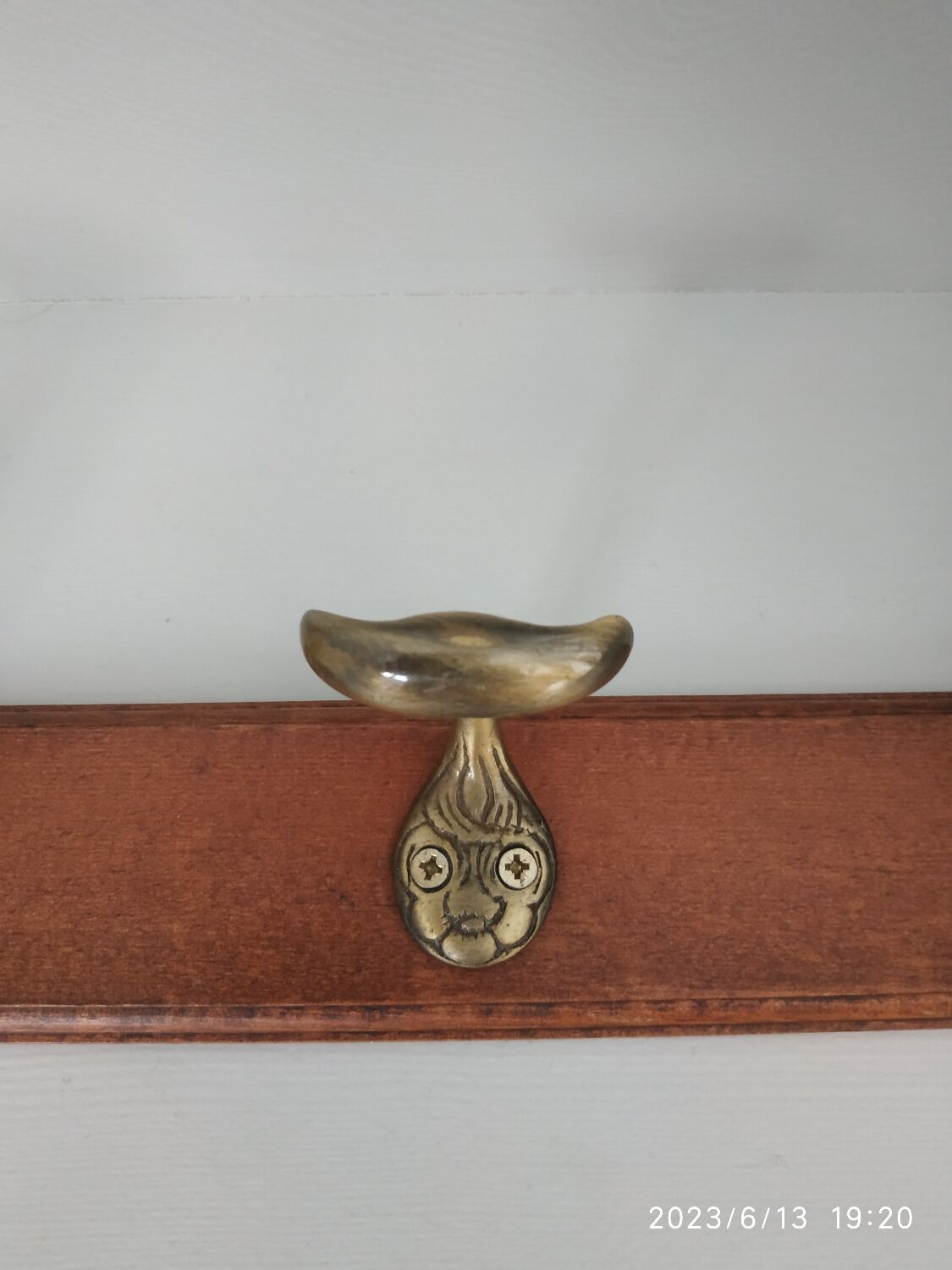 Wall hook