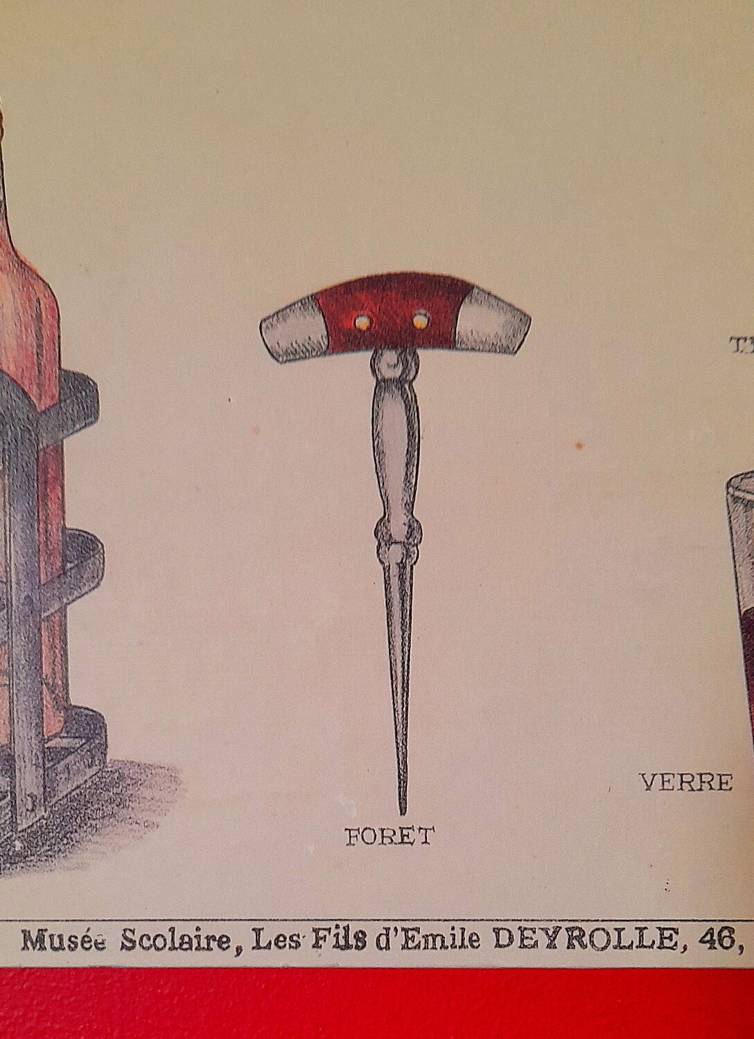 Educational poster Deyrolles Le Vin.