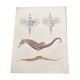 Affiche lithographie hippocampe
