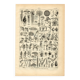 Old engraving from 1923 - Botany - Plant morphology by A. Millot