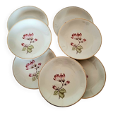 7 Mangnolias Dessert Plates 19.5cm with Gold profile.