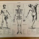 Lot of 3 20th century lithos
