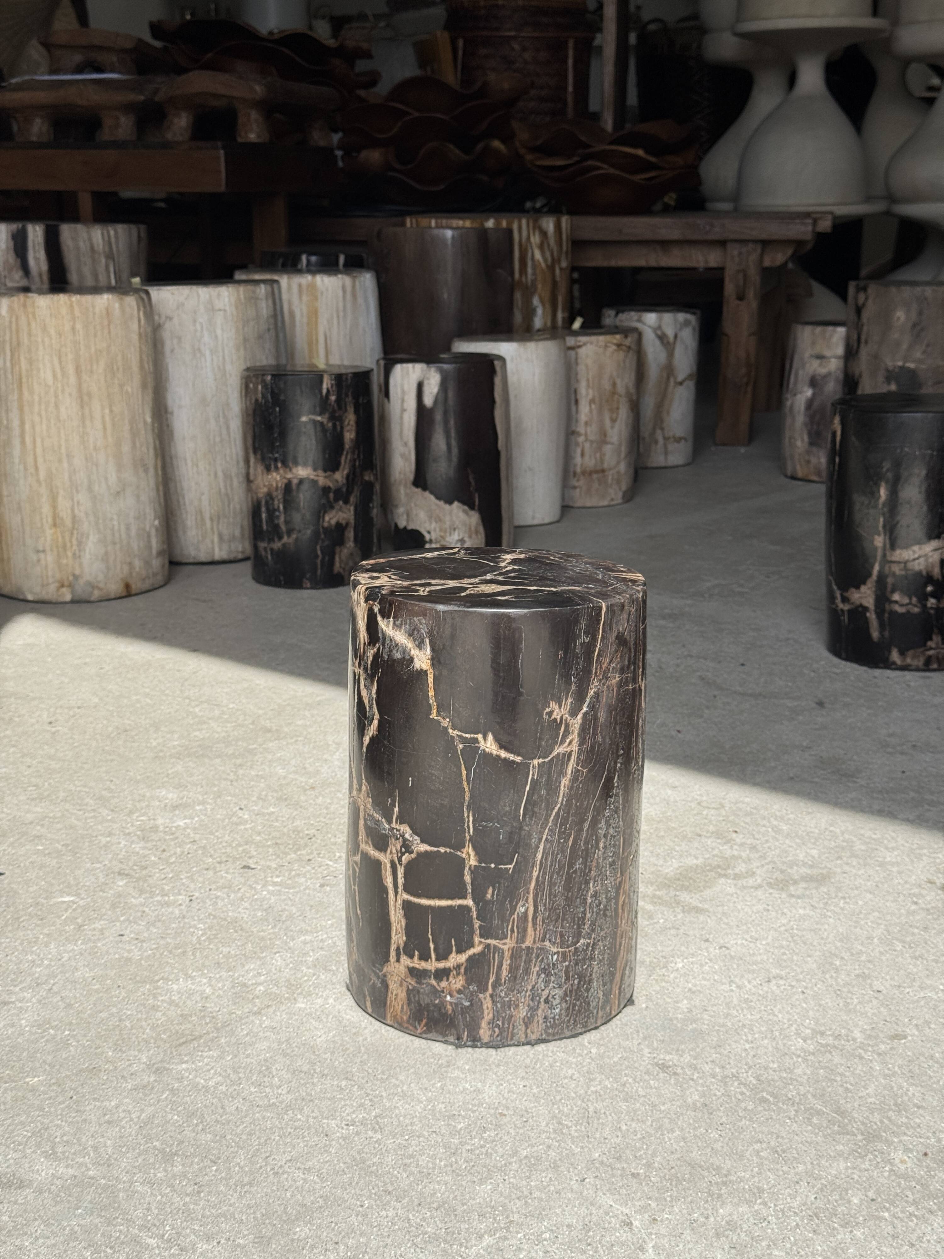 Table d'appoint en bois pétrifié noir