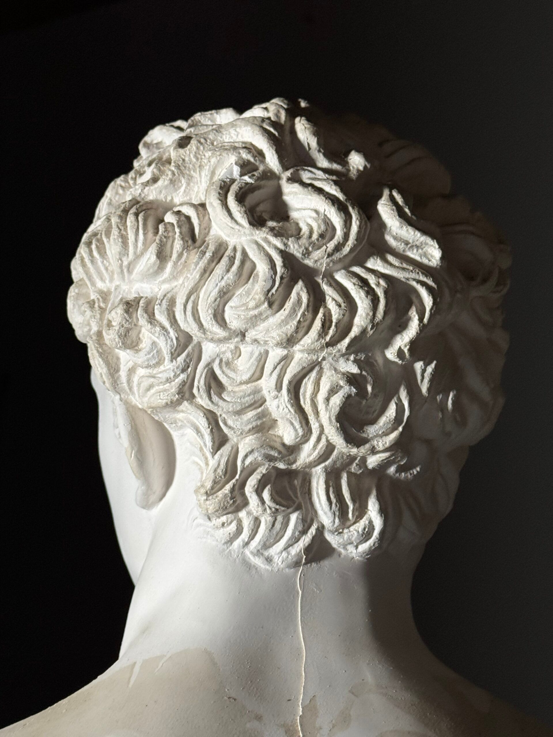 Bust of Meleager plaster classic