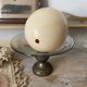 Ostrich egg curiosity cabinet