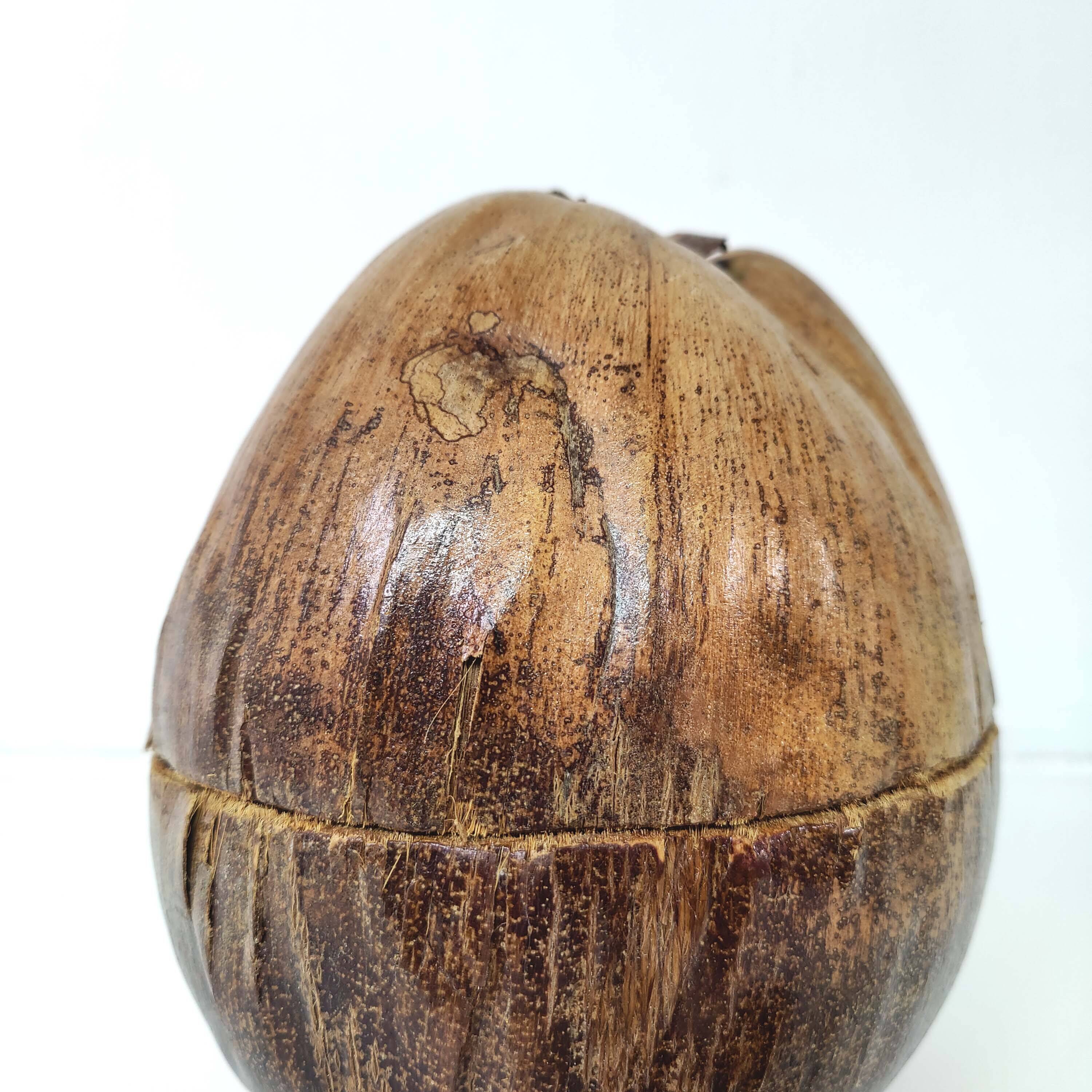 Seau à glaçons noix de coco vintage
