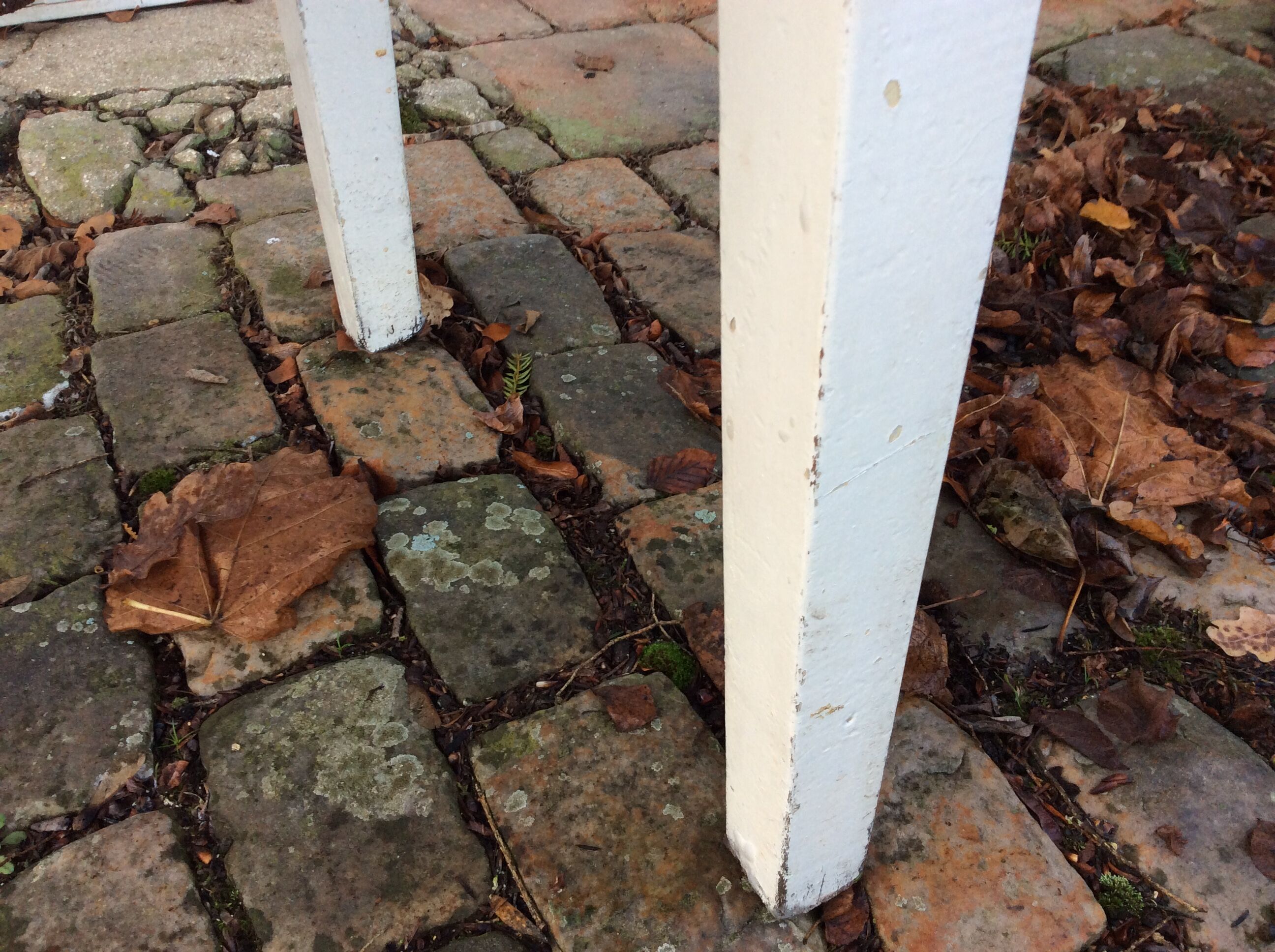 Vintage kitchen table