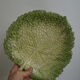 Salad bowl sunflower drainer in slip