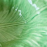 Leaf slip salad bowl