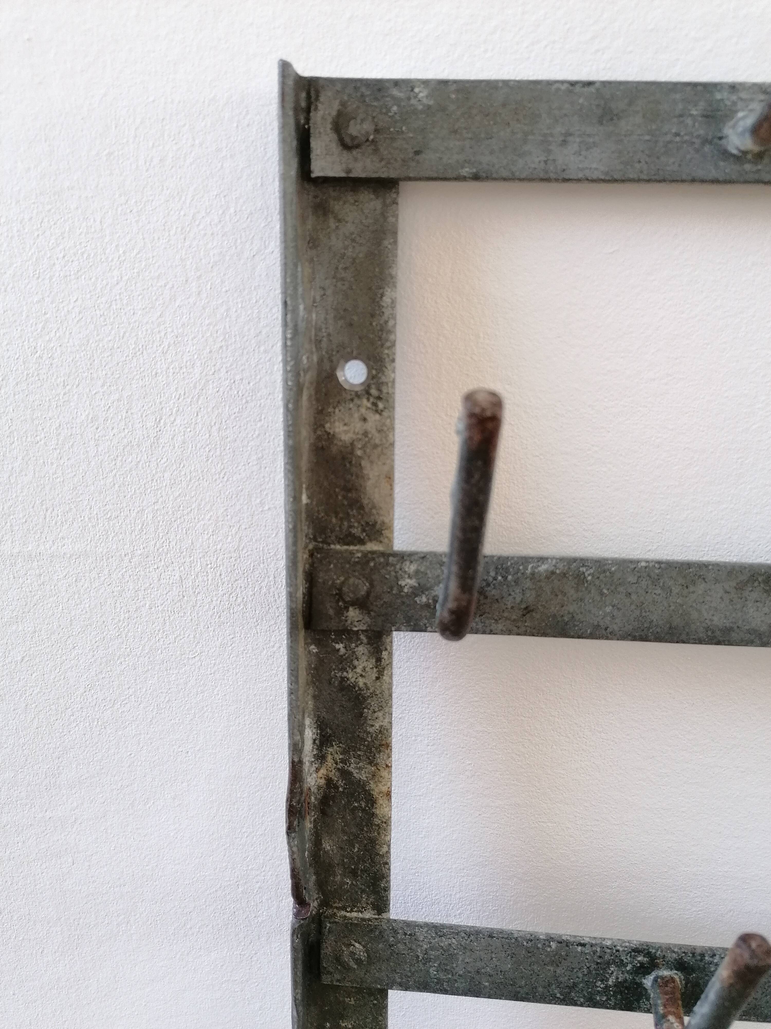 If, hedgehog, wall bottle drain