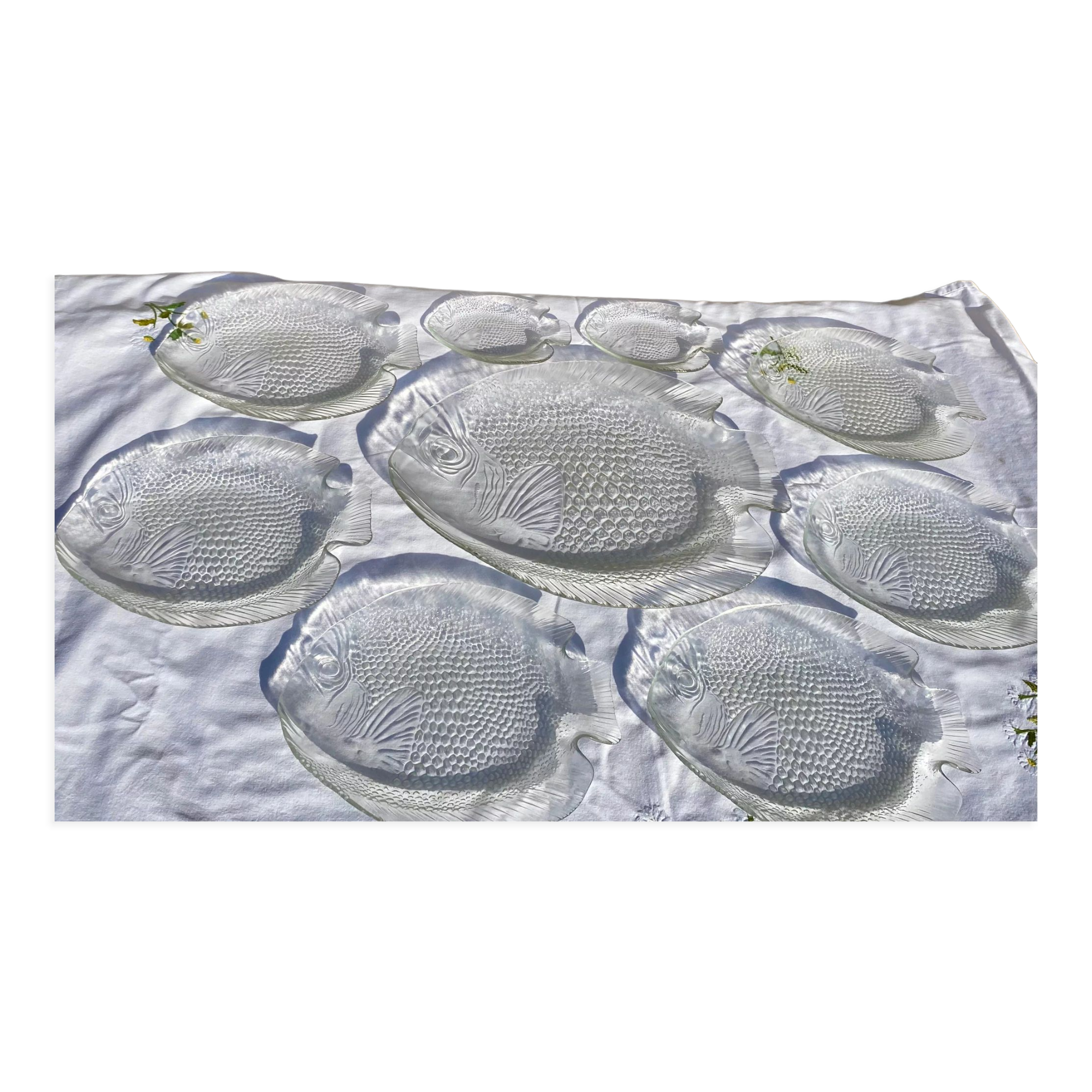 Service assiettes et plat à poisson transparents Arcoroc