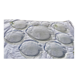 Service Arcoroc transparent plates and fish dish