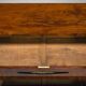 Early 19th century Biedermeier mahogany commodes, 1830s