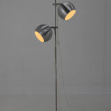 Floor Lamp with Flexible Shades, Europe, 1960s