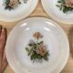 Set de 6 assiettes creuses Arcopal Rose de France