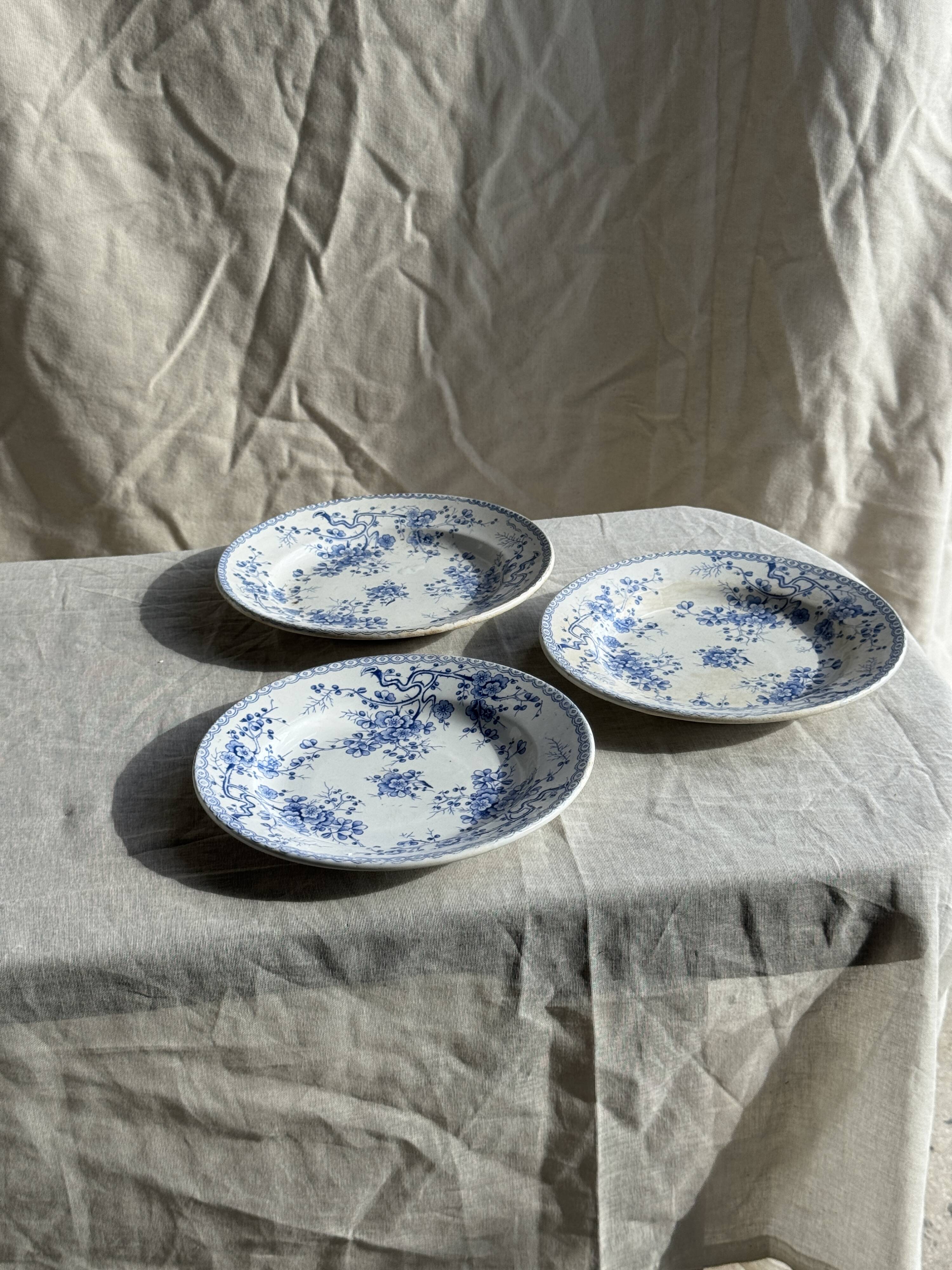 Set of 3 blue plates from Gien pottery, Fleurette model, D22.5.