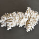 Coral vintage 70s branch