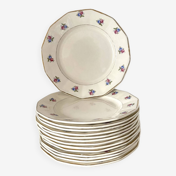 Digoin Sarreguemines dinner plates, floral