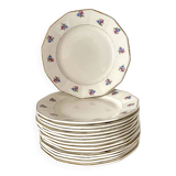Digoin Sarreguemines dinner plates, floral