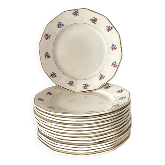 Digoin Sarreguemines dinner plates, floral