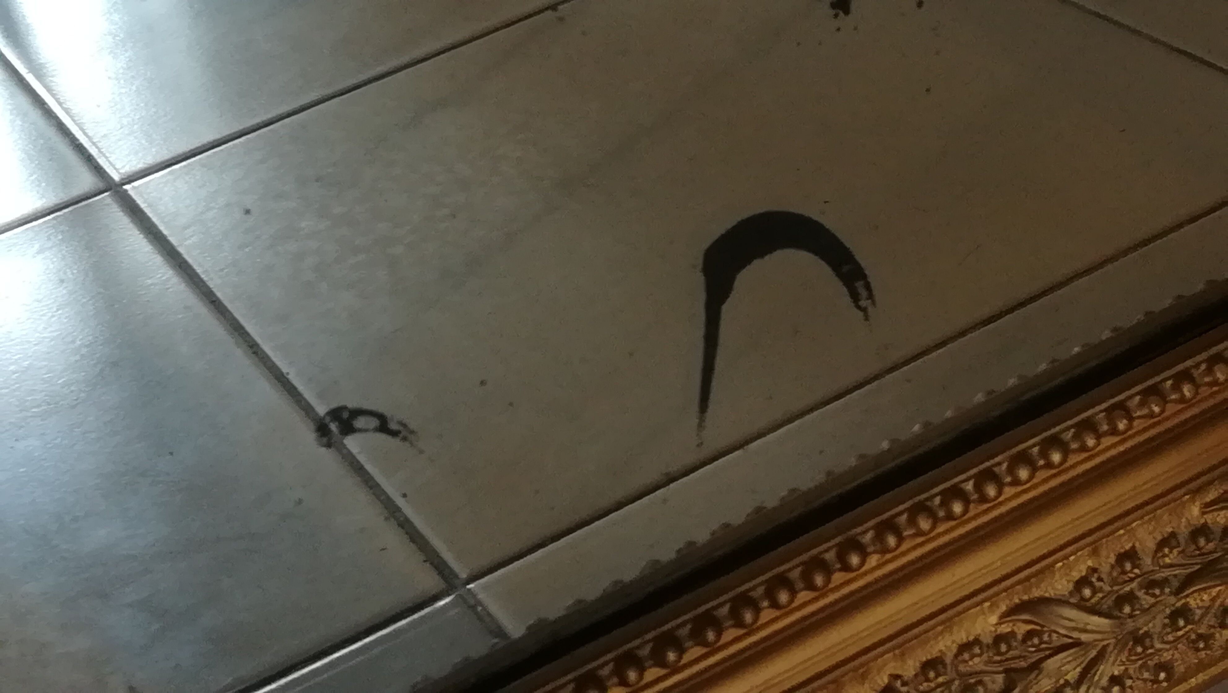 Classic golden mirror - KZ037hT