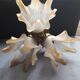 Vintage art deco wall light chandelier