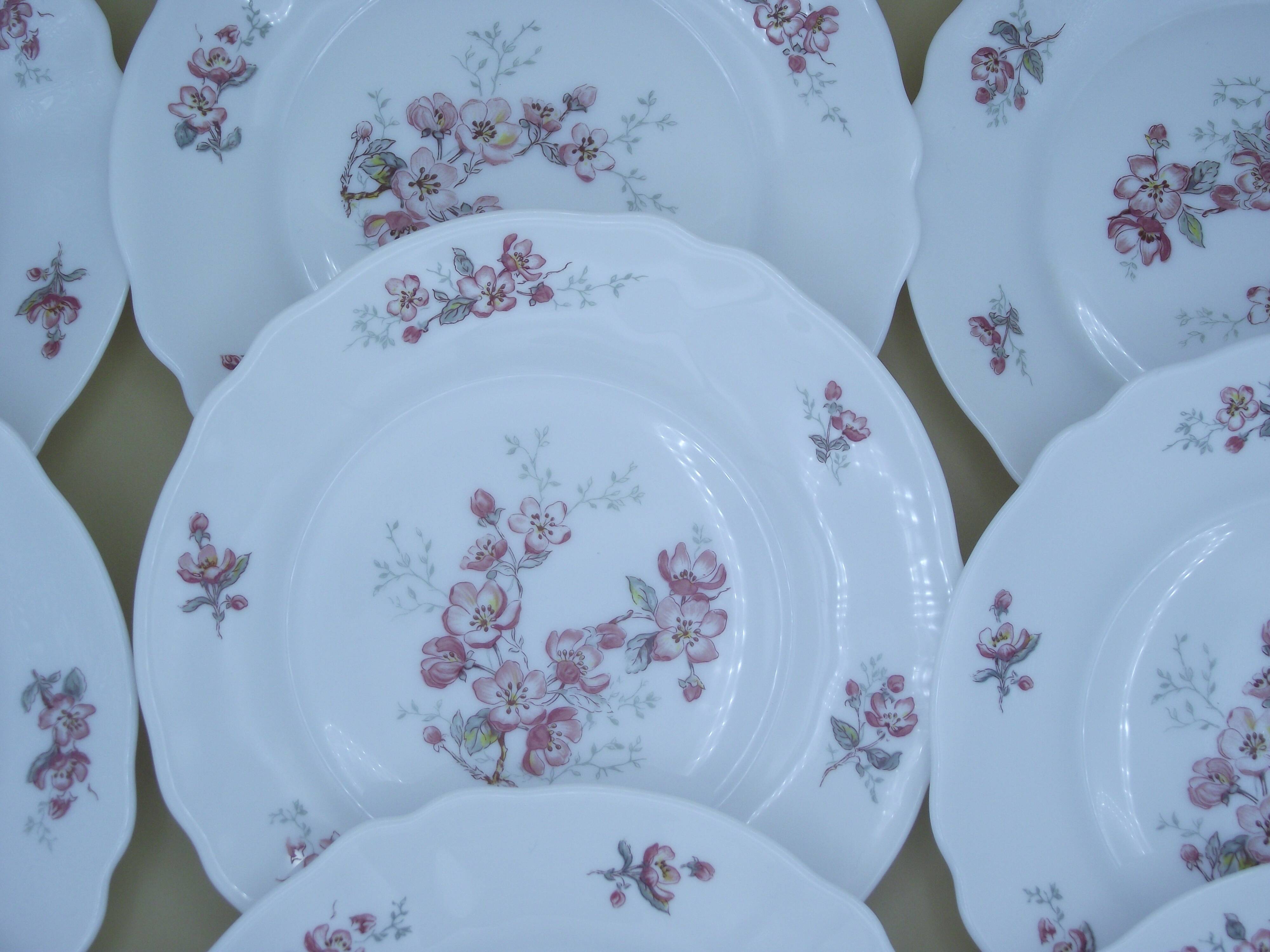 Lot of 9 dessert plates Arcopal France