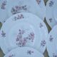 Lot of 9 dessert plates Arcopal France