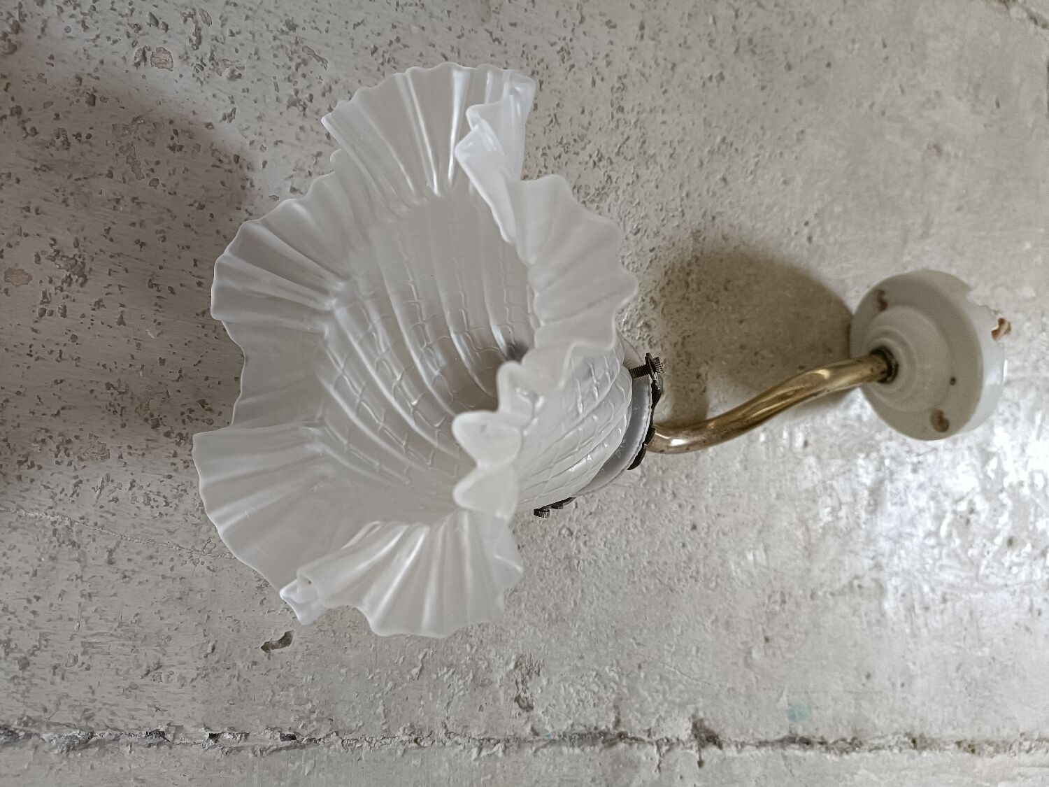 Art Nouveau tulip wall lamp