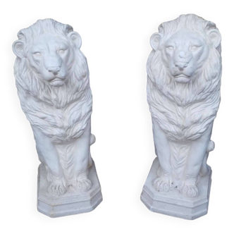 Pair of lions