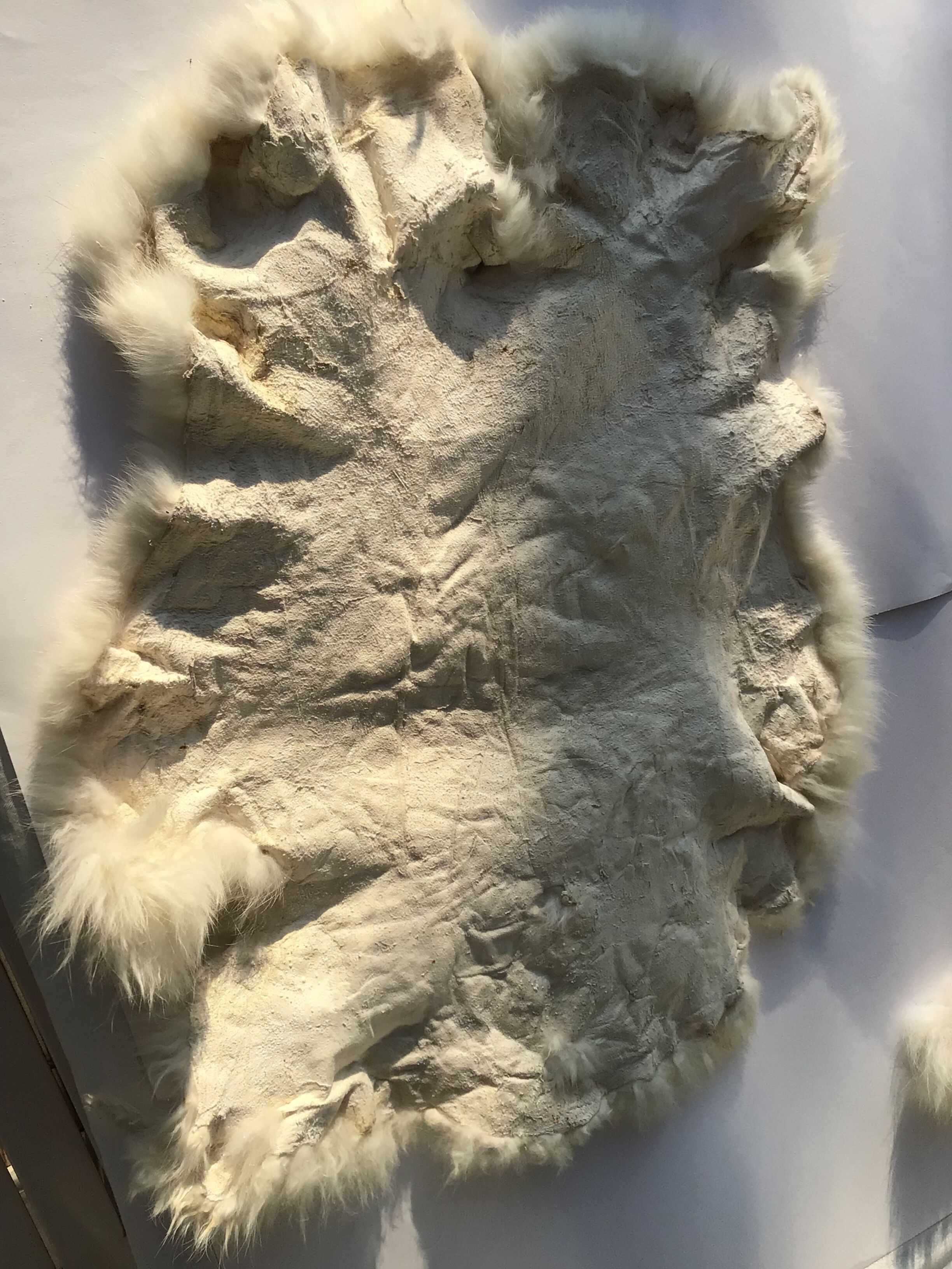 White rabbit skin