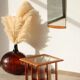Vintage G Plan teak side table – magazine rack & wheels (1960s)