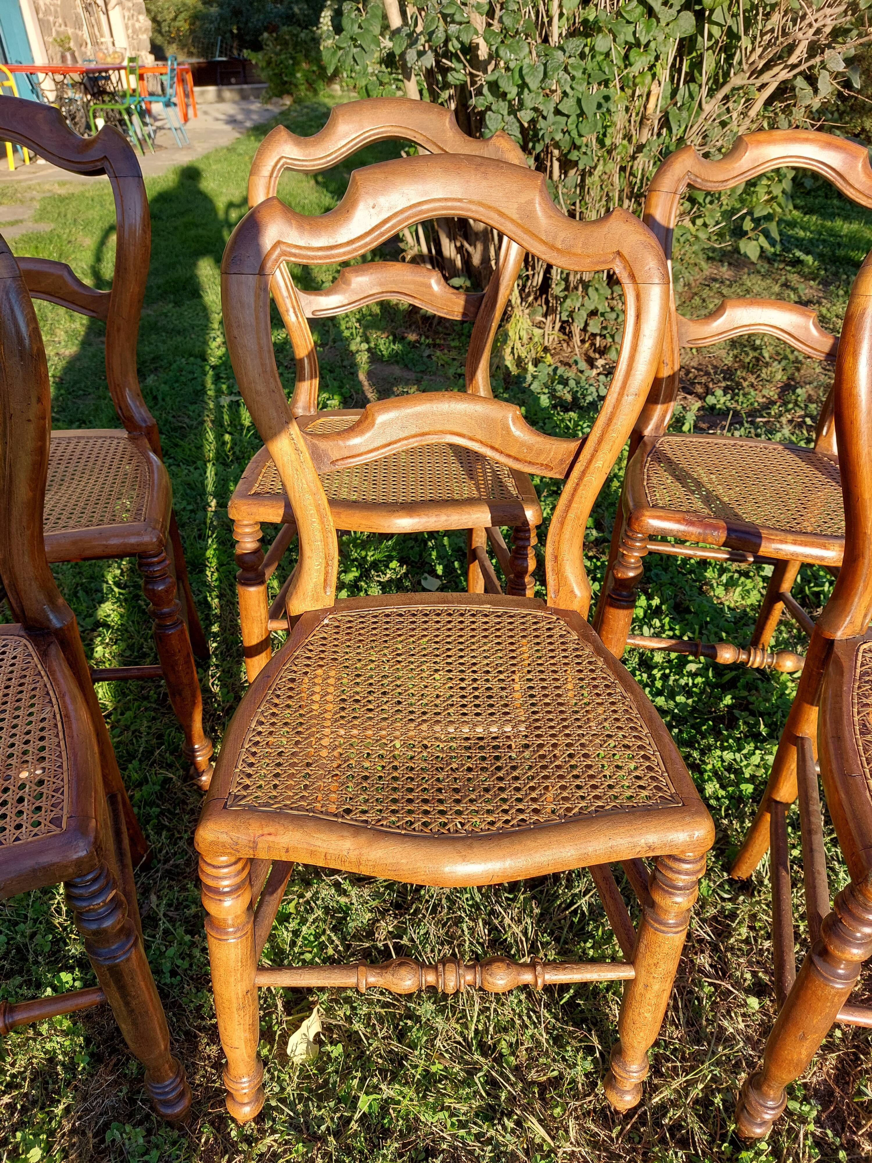 Lot of tanned chairs