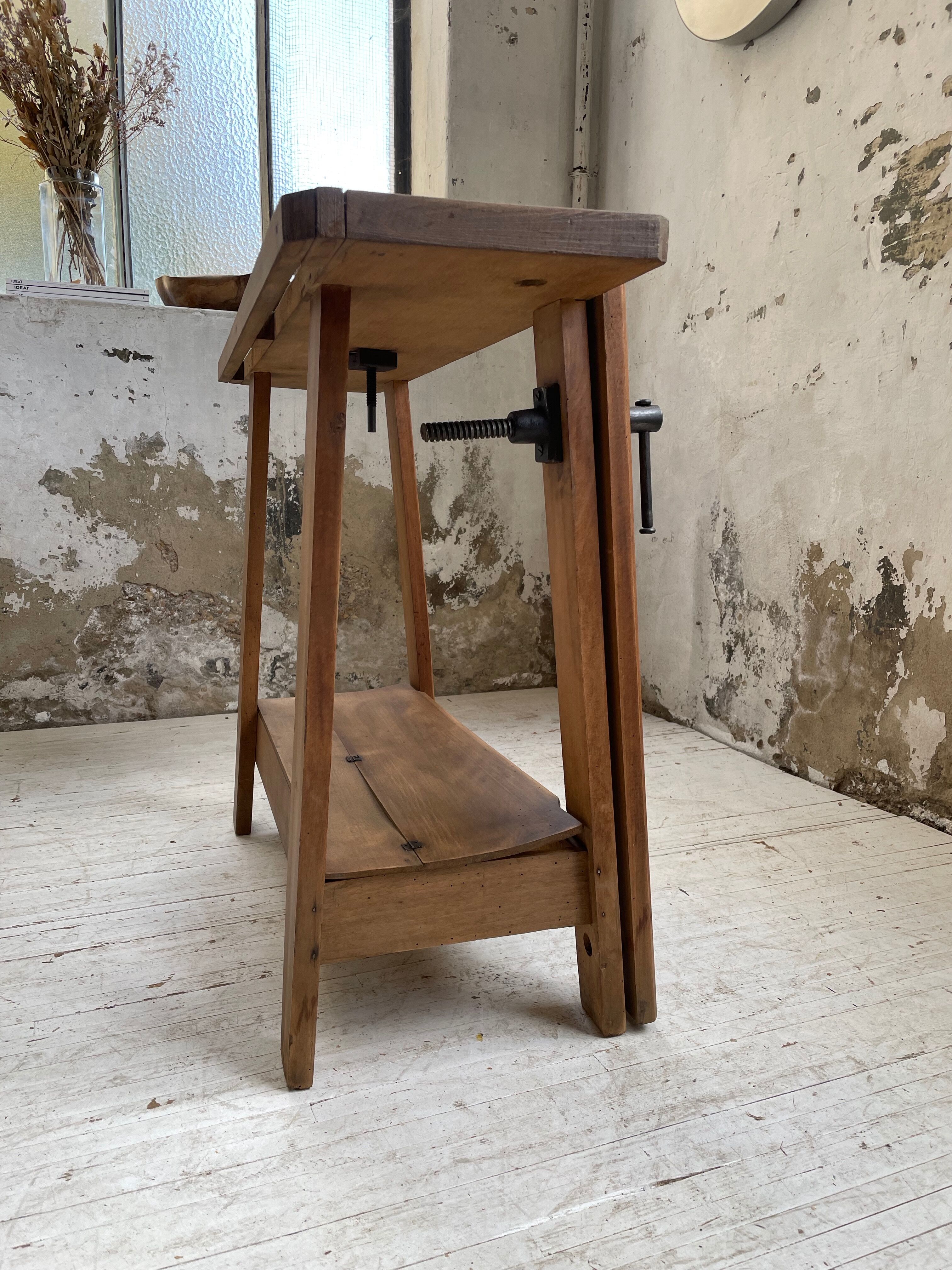 Established XS in cherry tree