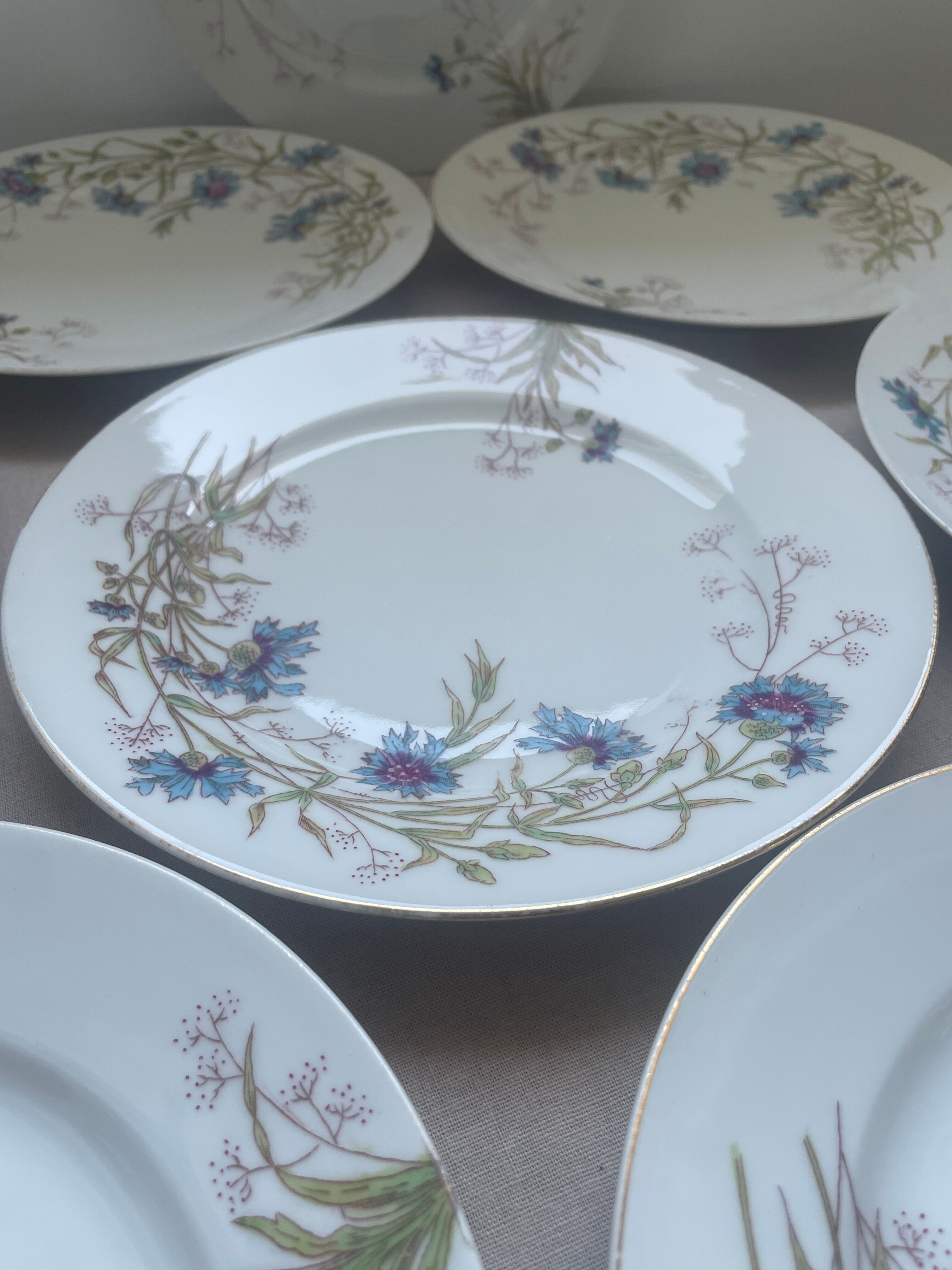 8 vintage plates with romantic chic country cornflower decoration.