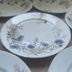 8 vintage plates with romantic chic country cornflower decoration.