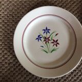 Set of 10 flat plates