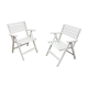 Pair of chairs folding vintage