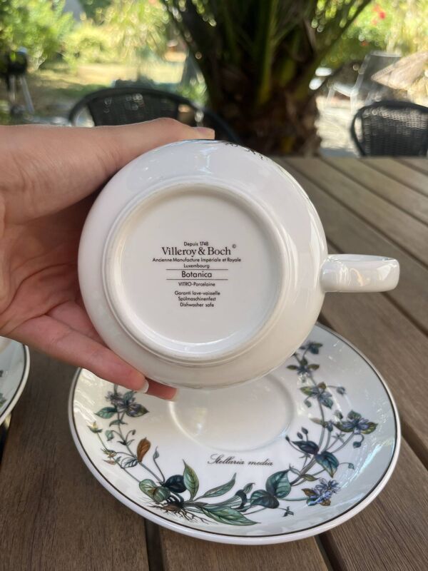 Grandes tasses à chocolat Villeroy & Boch « Botanica »