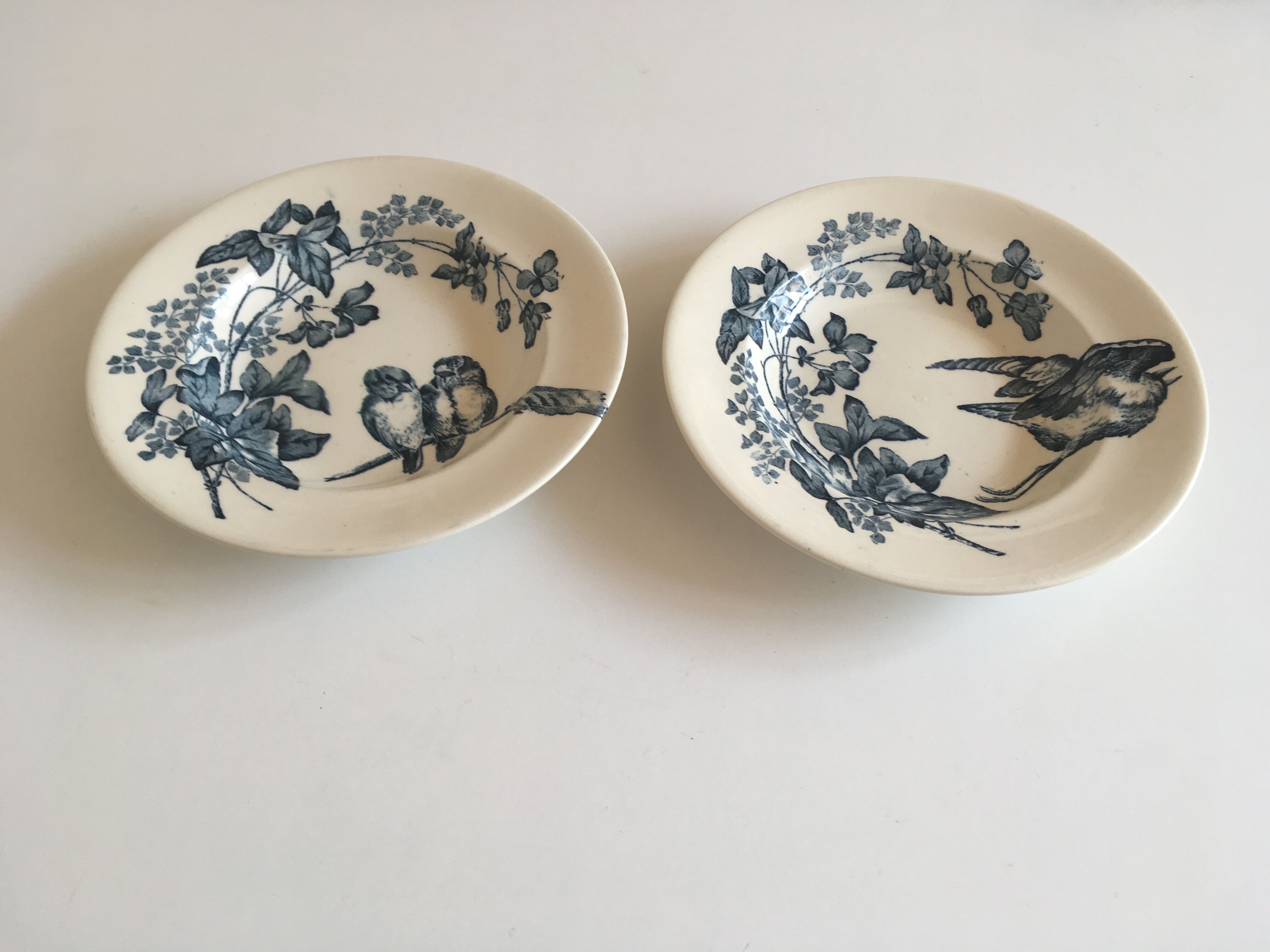 Hollow plates in faience iron earth birds and flowers 19th longwy