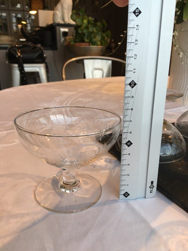 Champagne cups or cups