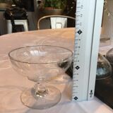 Champagne cups or cups