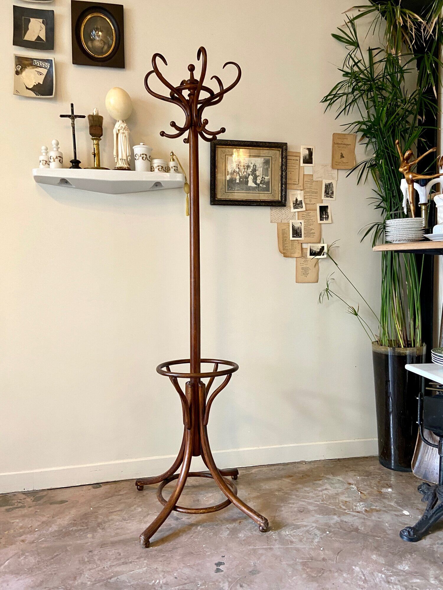 Parrot and dark arched beech coat rack