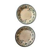 Pair of Iron Earth plates