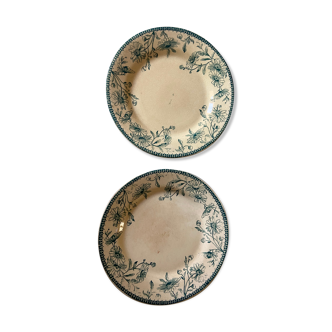 Pair of Iron Earth plates