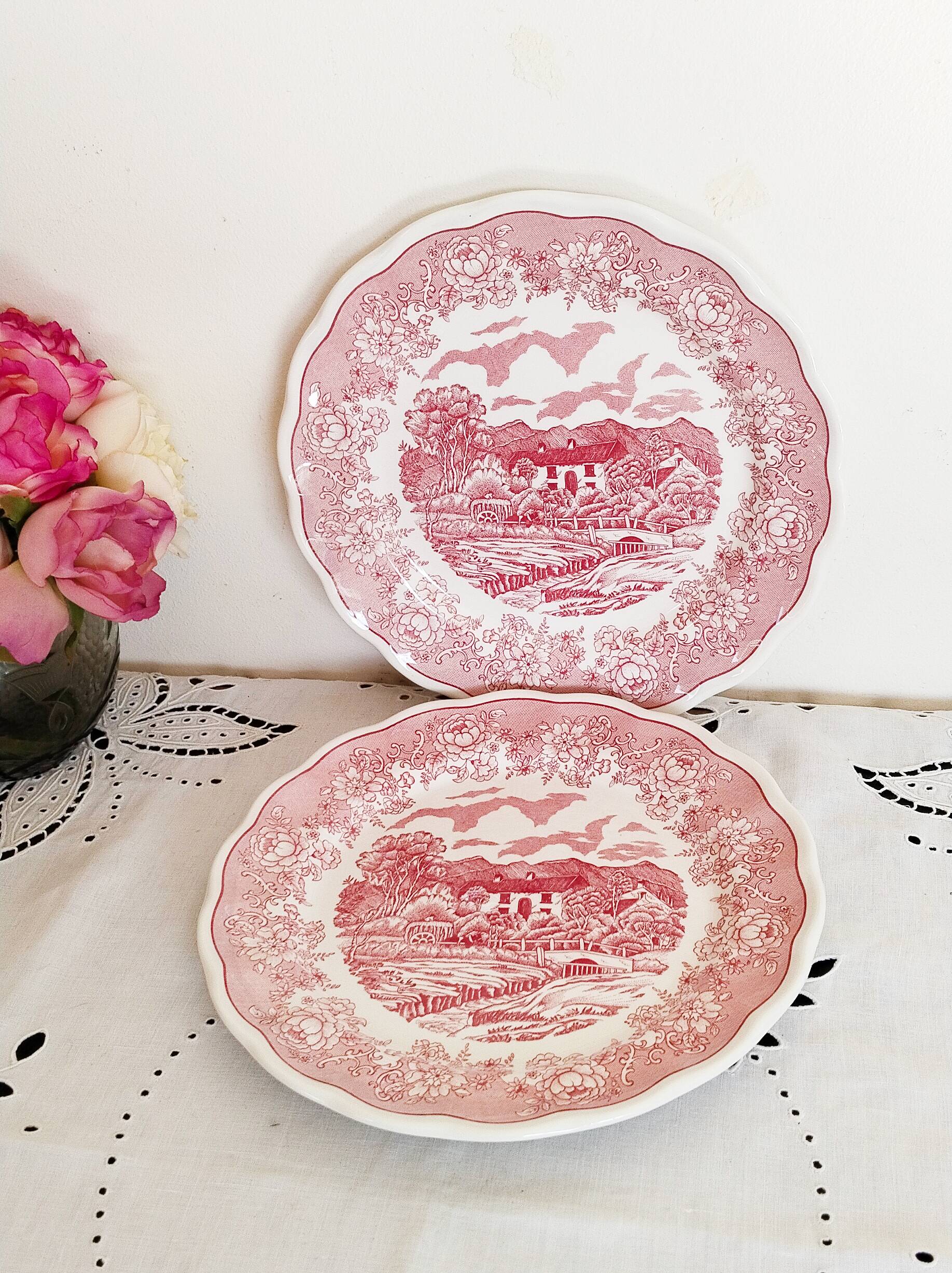 2 Italian English porcelain dinner plates: Swiss Landscape